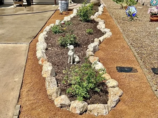 A planting bed edged with a serpentine border of rough cream stones, filled with brown decomposed granite and planted through